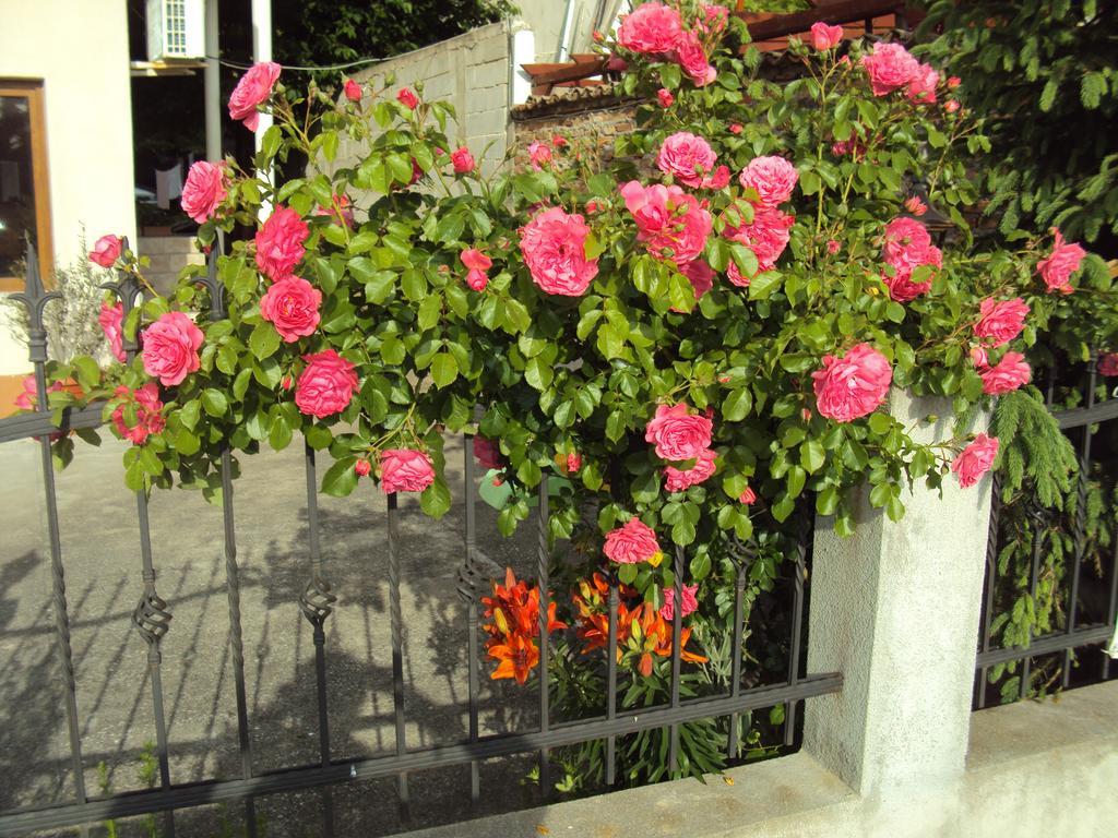 Amfora Guest House Byala  Bagian luar foto