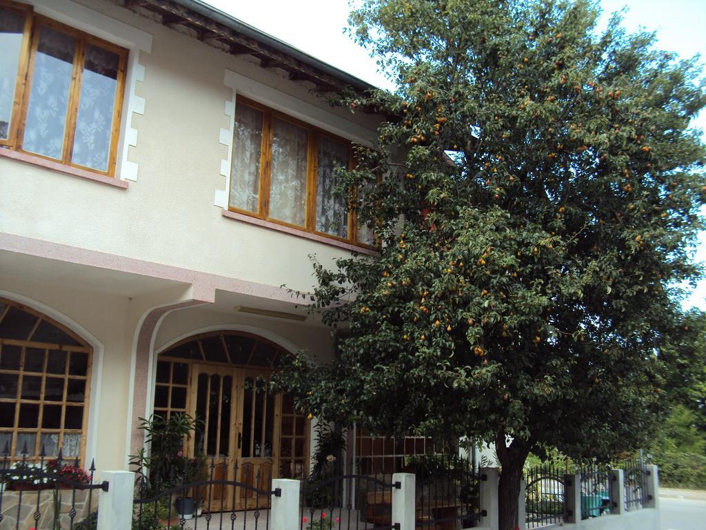 Amfora Guest House Byala  Bagian luar foto